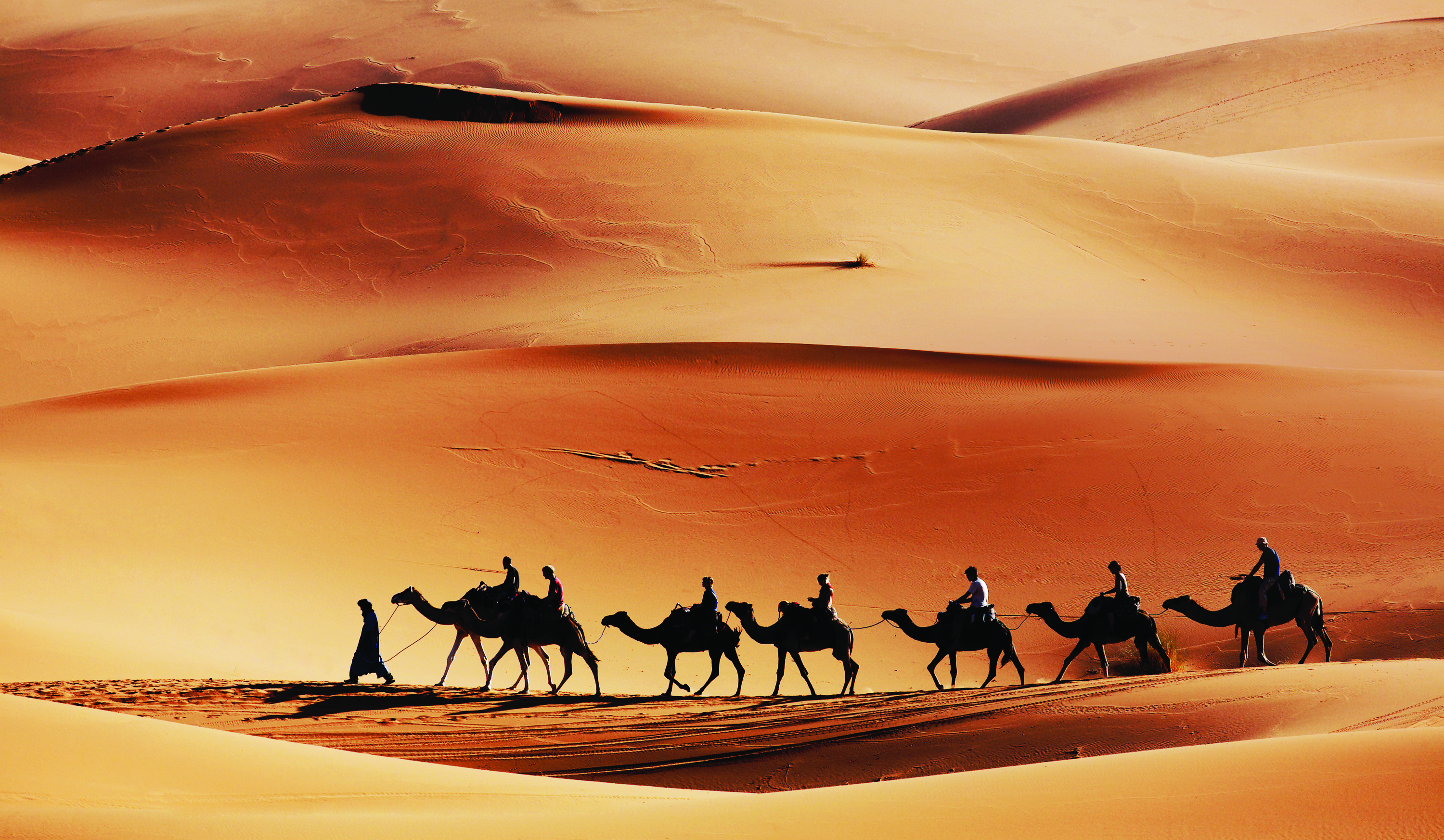https://d3r8gwkgo0io6y.cloudfront.net/upload/camel ride.jpg